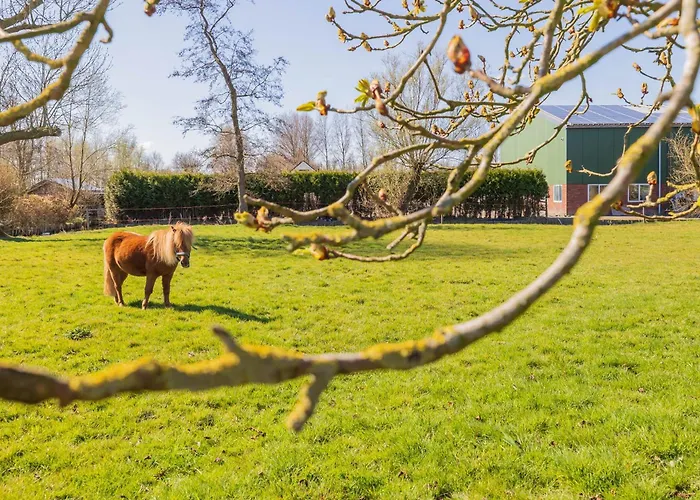 En Duin * Noordwijkerhout